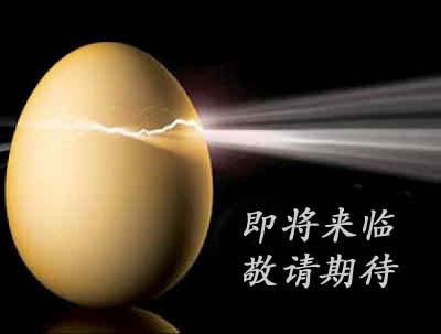 5. coming soon cracked egg