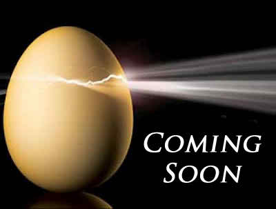 5. coming soon cracked egg